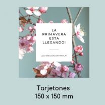 Tarjetón Cuadrado 150 x 150 mm